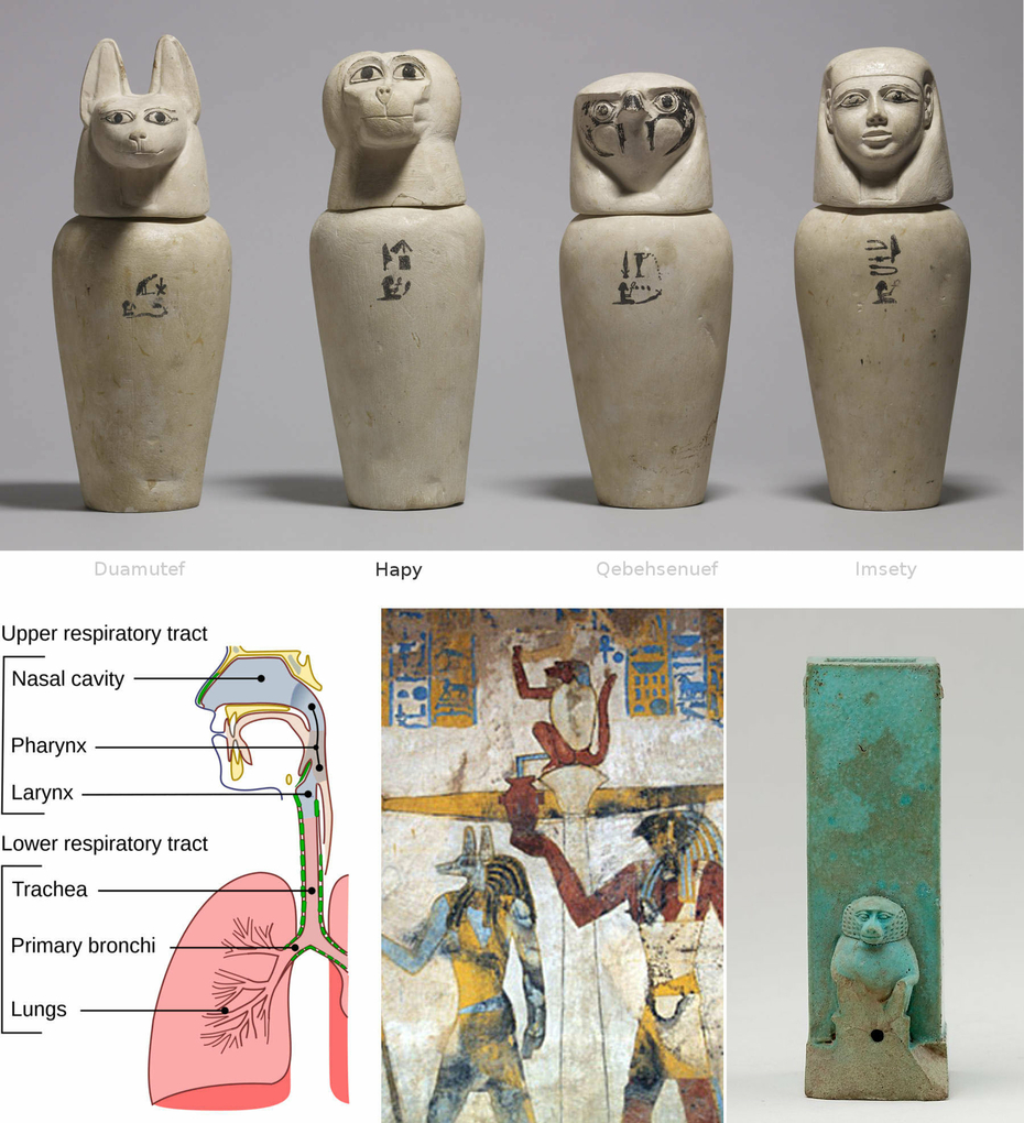 Mummification Canopic Jar Baboon Protecting Lungs Mummy Son of Horus Hapy Ancient Egypt Natron Bath Mummification